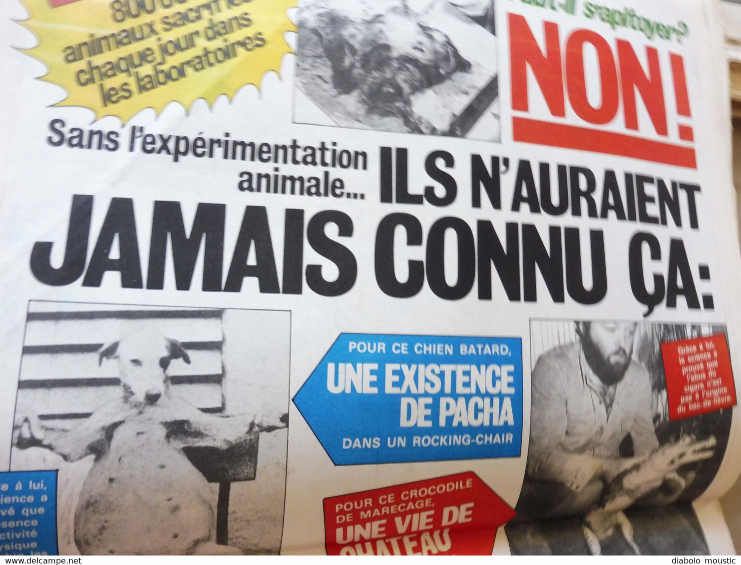 1978 La GAUCHE MORIBONDE.....; Coluche ...........Etc  (Charlie Hebdo)