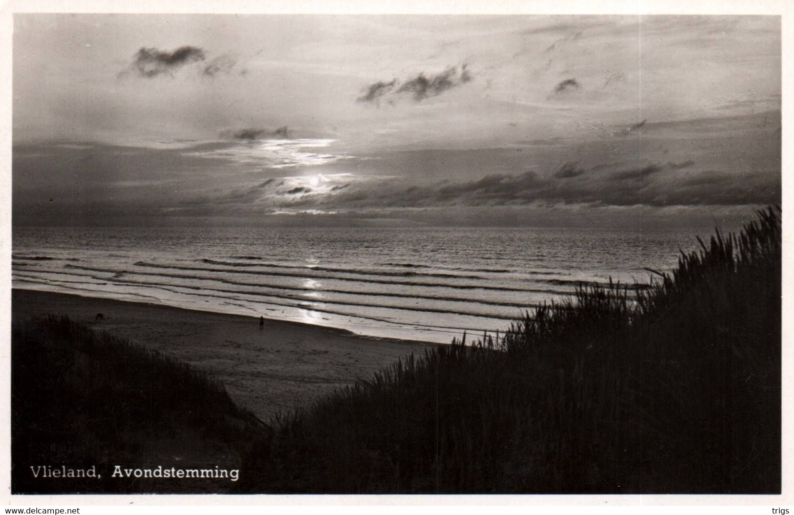 Vlieland - Avondstemming - Vlieland