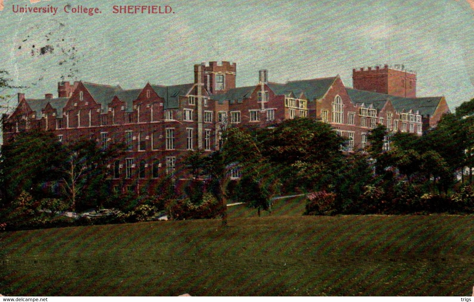 Sheffield - University College - Sheffield