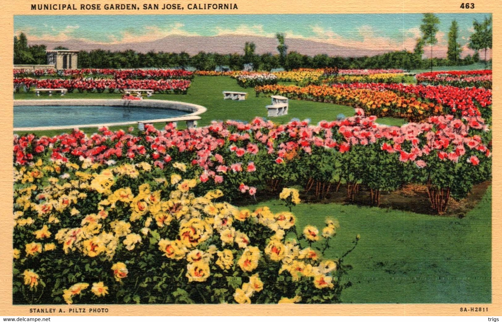 San Jose - Municipal Rose Garden - San Jose