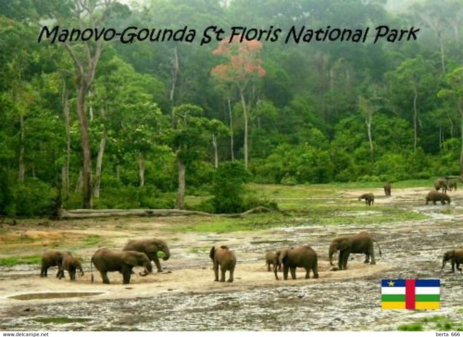 Central African Manovo-Gounda St. Floris National Park UNESCO New Postcard - Centrafricaine (République)