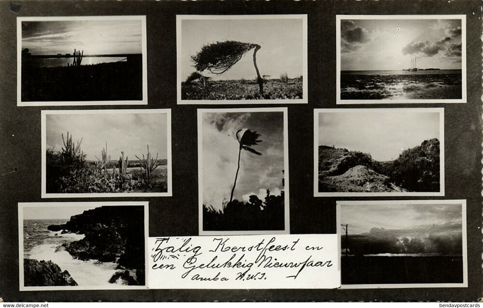 Aruba, N.W.I., Wind Tree, Cactus, Christmas Multiview RPPC Postcard - Aruba