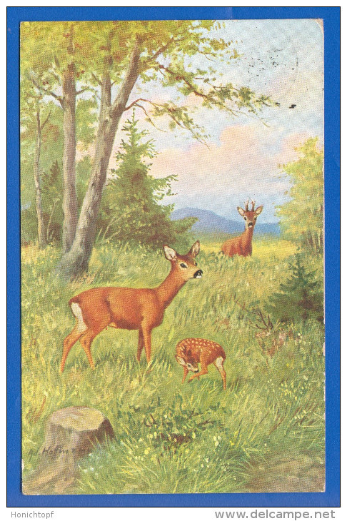 Tiere; Hirsch; Deer; Cerf; Künstlerkarte Ad. Hoffmann; 1928 - Hoffmann, Ad.