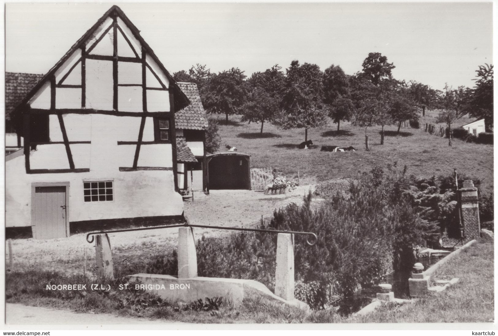 Noorbeek (Z.L.) - St. Brigida Bron - (Limburg, Nederland / Holland) - Eijsden