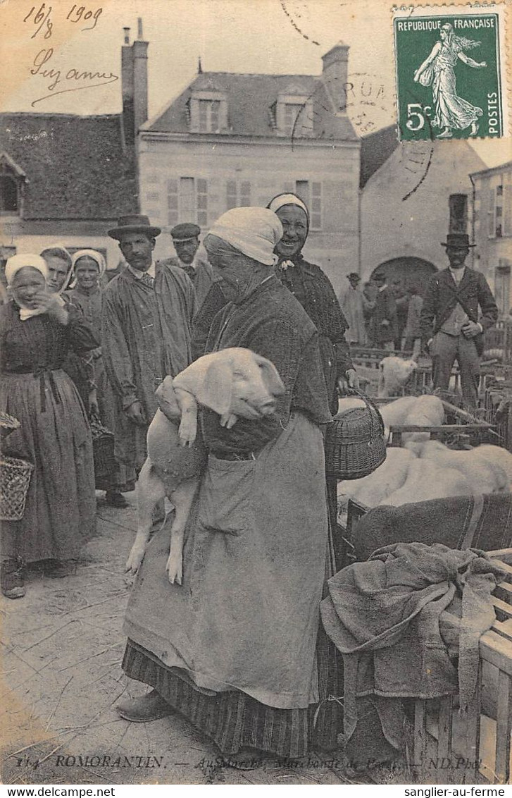 CPA 41 ROMORANTIN AU MARCHE MARCHANDE DE PORCS - Romorantin