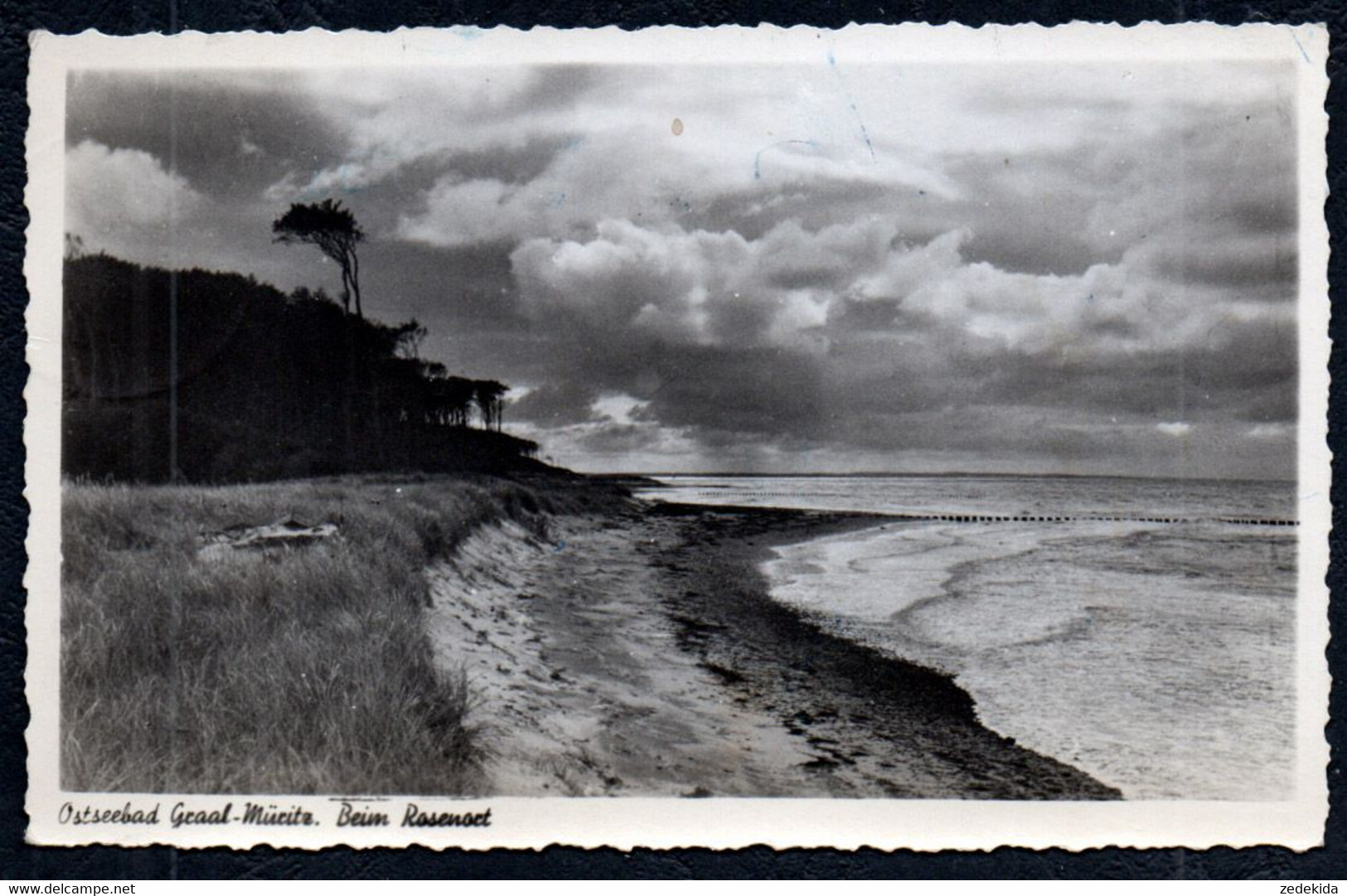 D6923 - Graal Müritz Strand - Foto Pluns - Graal-Müritz