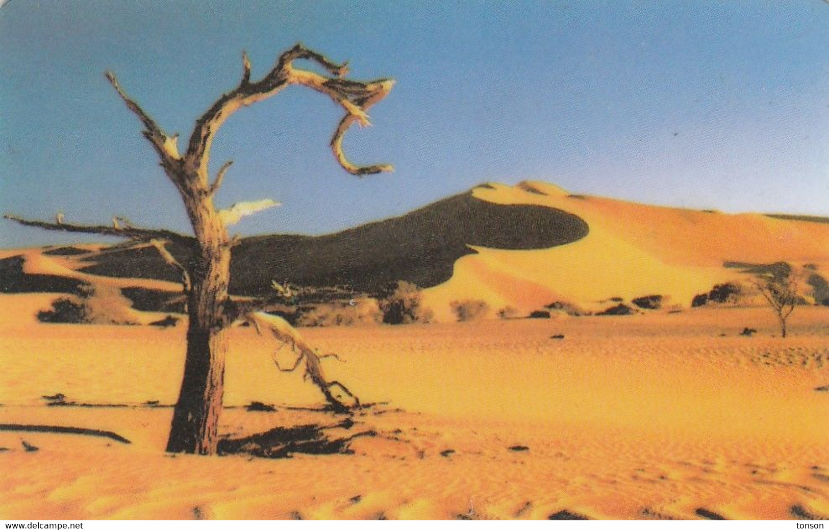 Namibia, NMB-17B,  Tree In The Desert, 2 Scans.     Siemens - S30 (Module 34),   Dashed Zero: "Ø". - Namibie