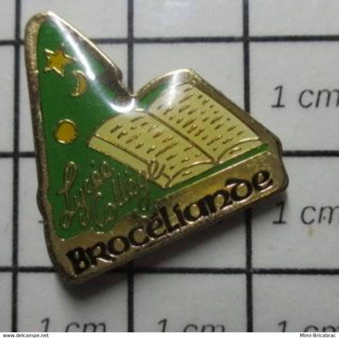 2122 Pin's Pins / Beau Et Rare / THEME : ADMINISTRATIONS / LYCEE COLLEGE BROCELIANDE - Administrations