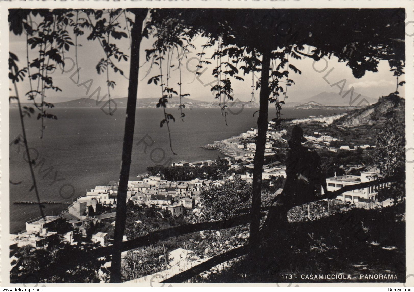 CARTOLINA  CASAMICCIOLA,NAPOLI,CAMPANIA,PANORAMA,SPIAGGIA,MARE,LUNGOMARE,BELLA ITALIA,VACANZA,ESTATE,NON VIAGGIATA - Castellammare Di Stabia