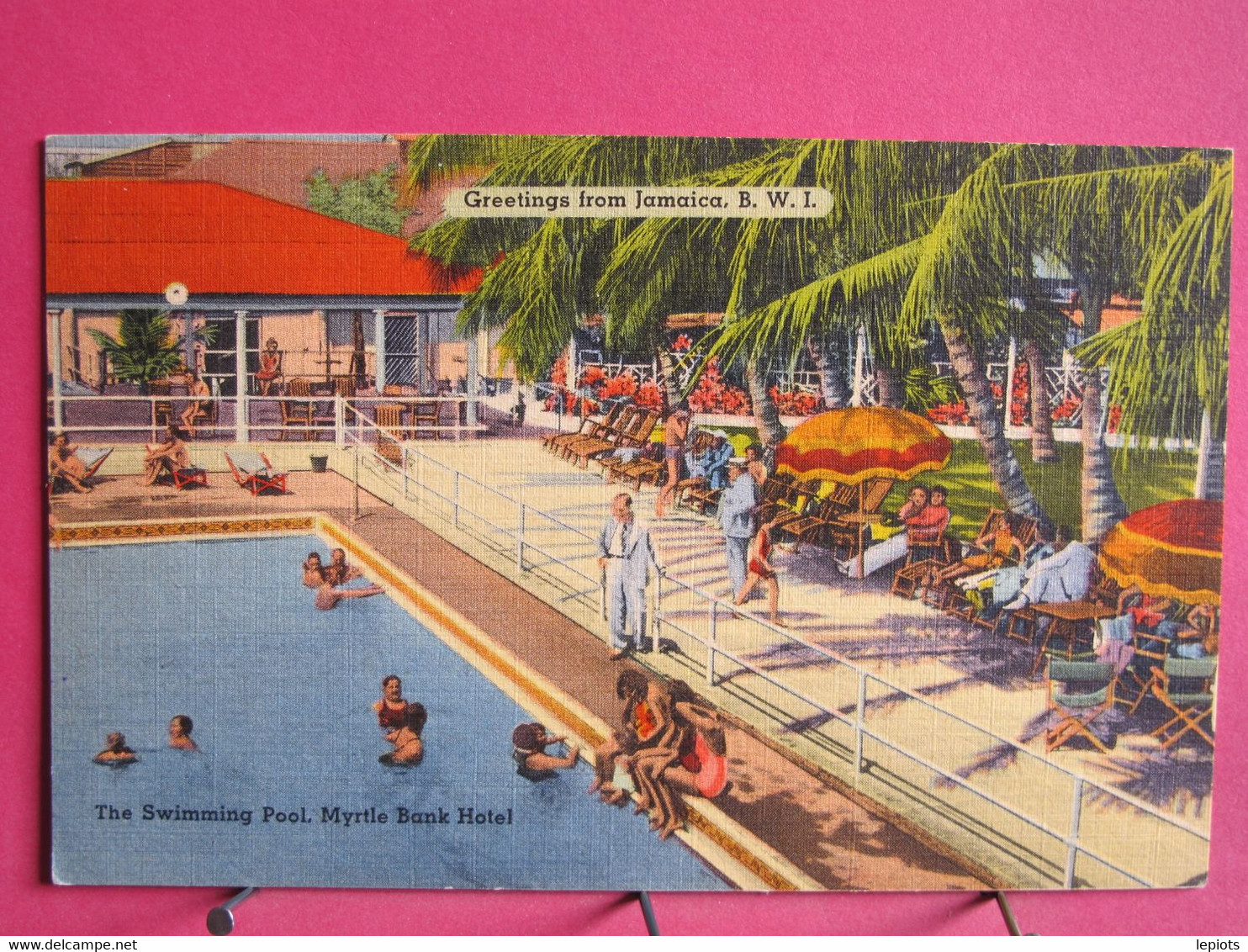 Visuel Pas Très Courant - Jamaïque - The Swimming Pool - Myrtle Bank Hotel - Jamaïca - R/verso - Jamaïque