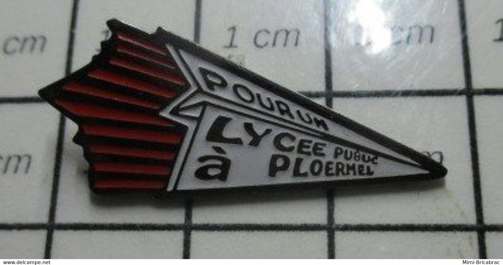 3219 Pin's Pins / Beau Et Rare / THEME : VILLES / AVION EN PAPIER POUR UN LYCEE PUBLIC A PLOERMEL - Administrations