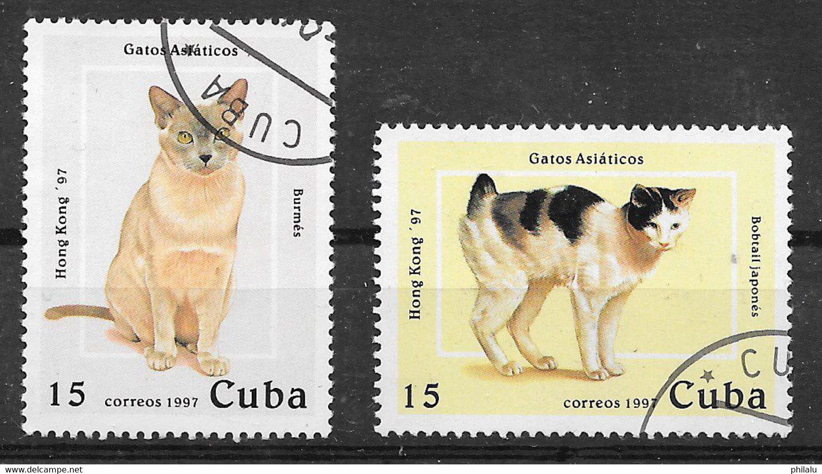 CUBA CHAT CAT CATZE GATO  Y Et T 3601 3602 MICH 3989 3990. - Oblitérés