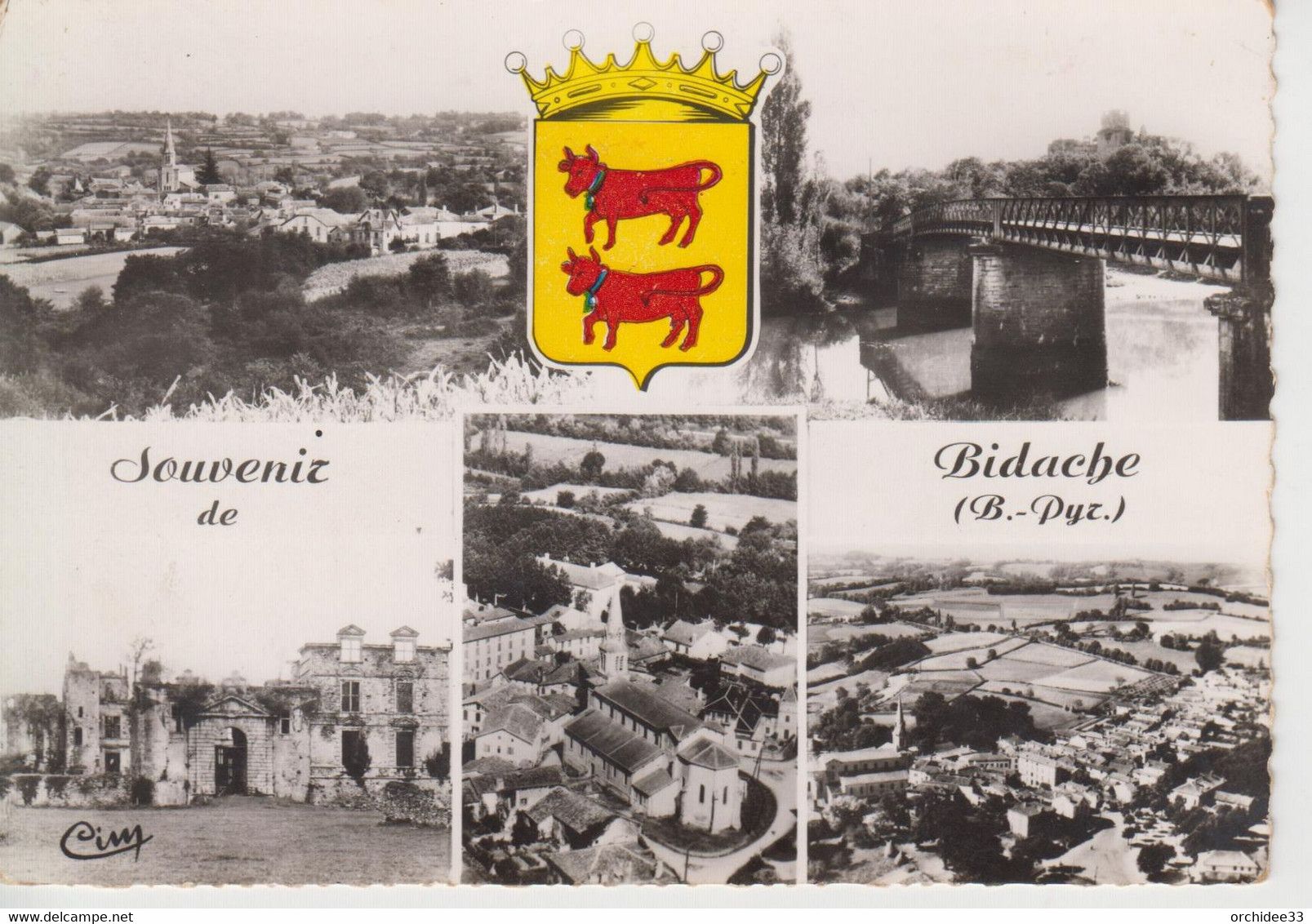 CPSM Bidache - Souvenir De Bidache (avec Blason Colorisée Et 5 Vues De La Ville) - Bidache