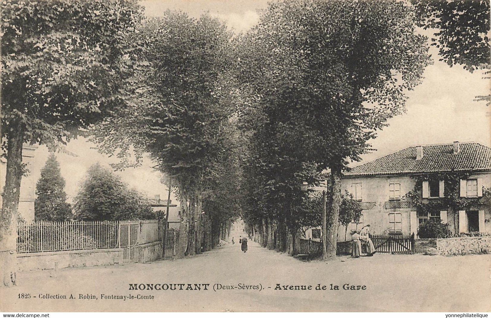 79 - DEUX SÈVRES - MONCOUTANT - Avenue De La Gare - 10080 - Moncoutant