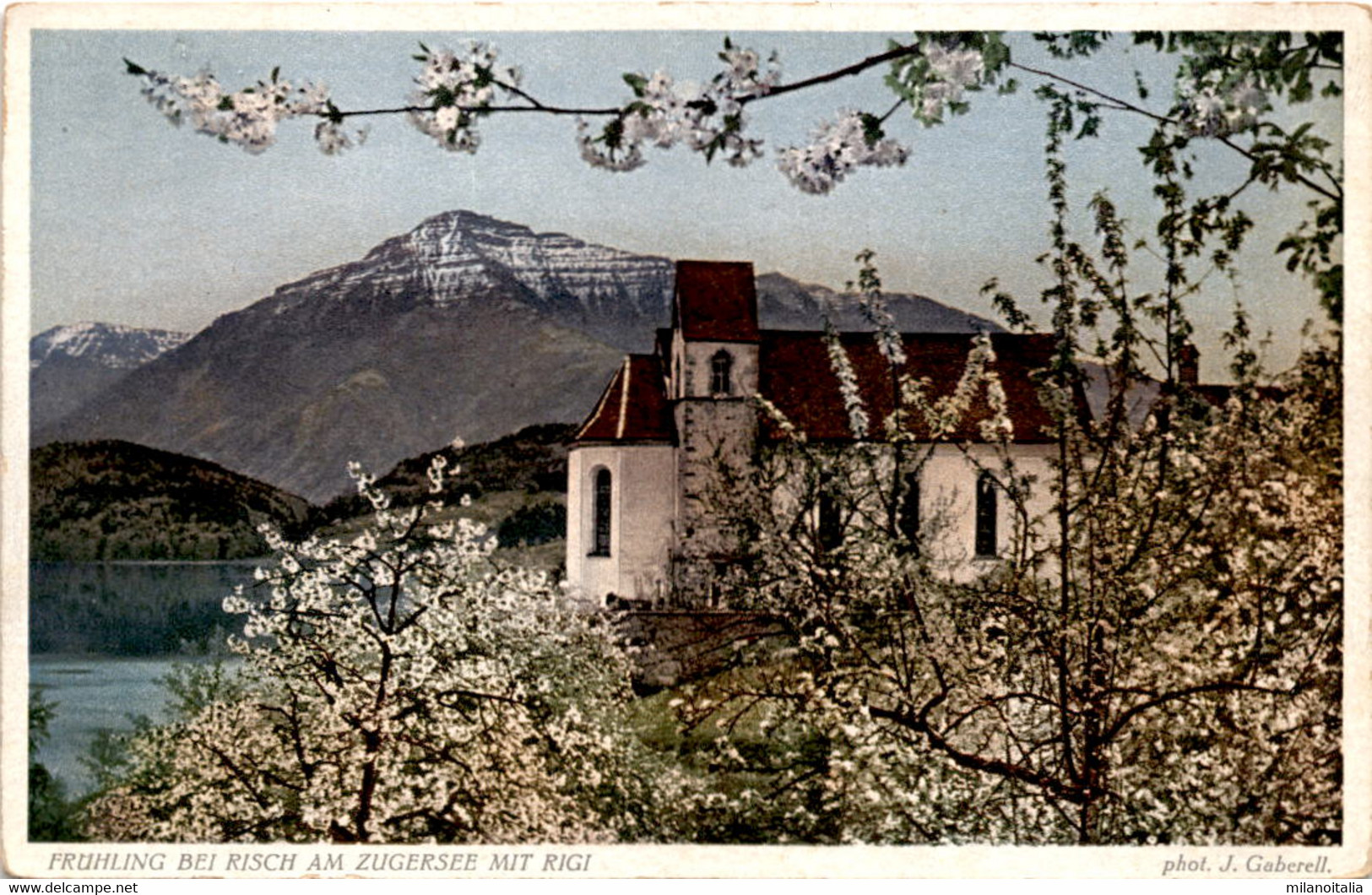 Frühling Bei Risch Am Zugersee Mit Rigi (9488) - Risch-Rotkreuz