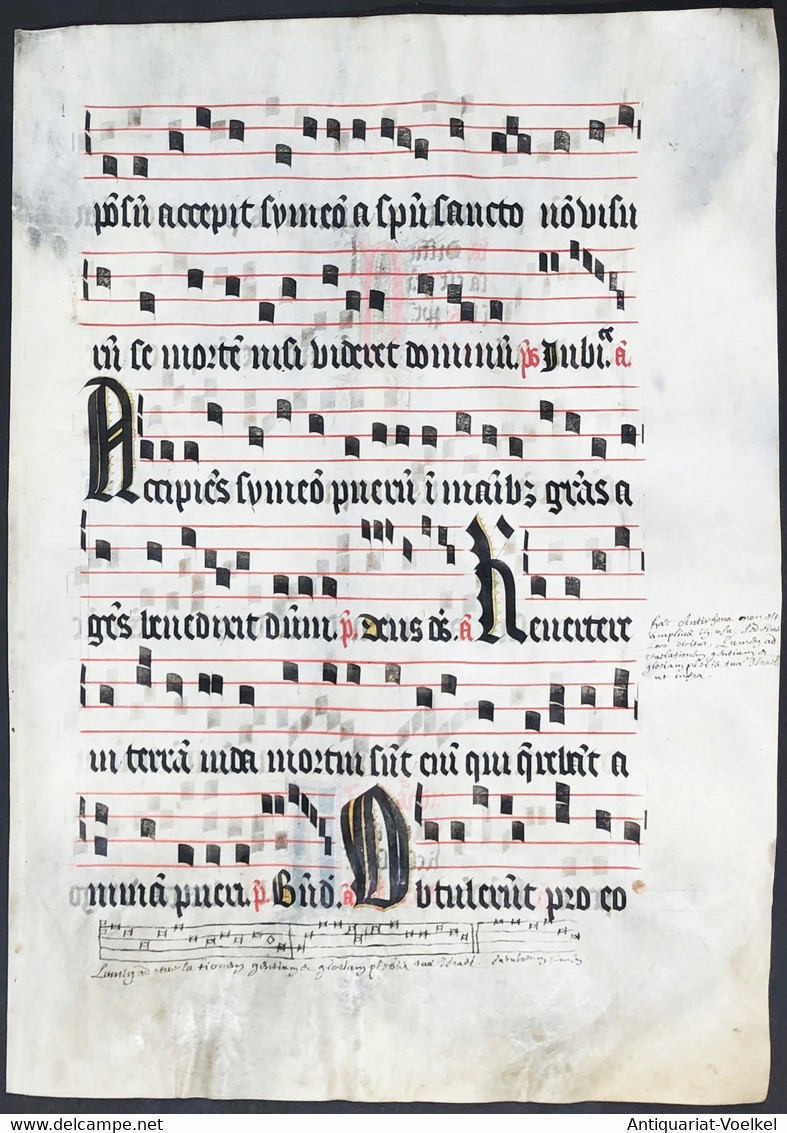 Very Rare Large Elephant Folio Vellum Sheet. Out Of An Antiphonary Manuscript From The 15th Century. / Seltene - Théâtre & Scripts