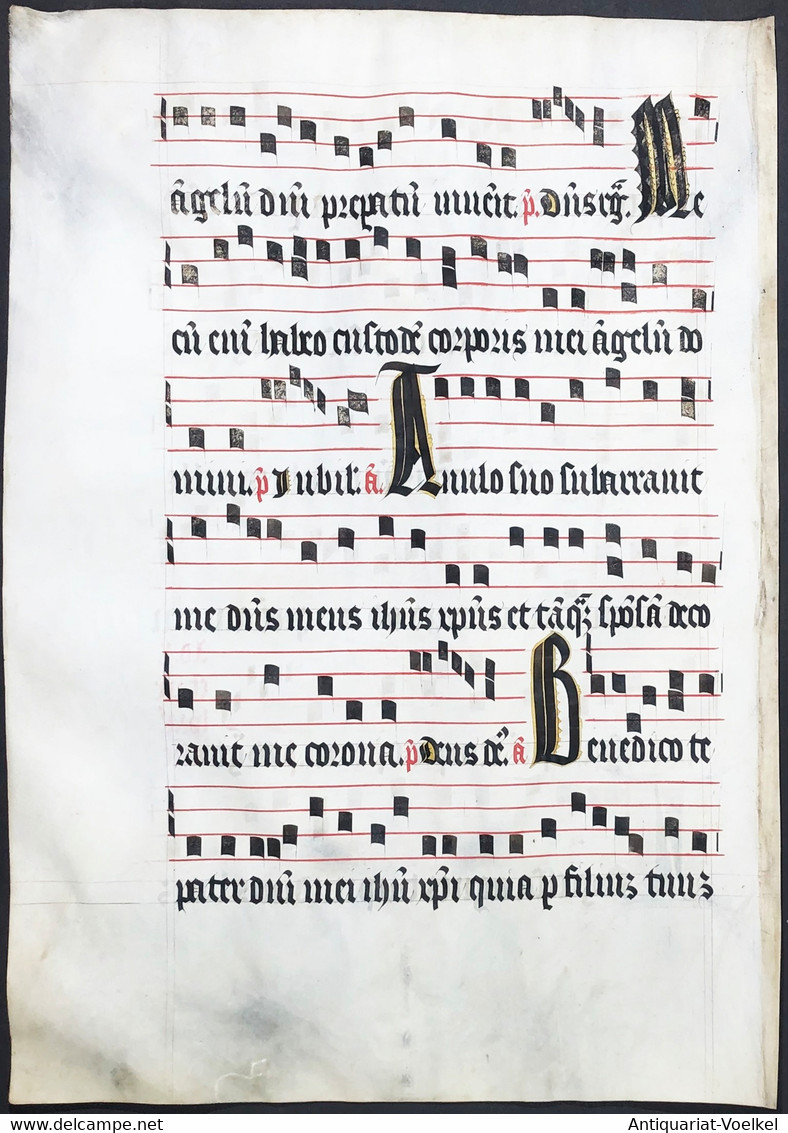 Very Rare Large Elephant Folio Vellum Sheet. Out Of An Antiphonary Manuscript From The 15th Century. / Seltene - Teatro & Sceneggiatura