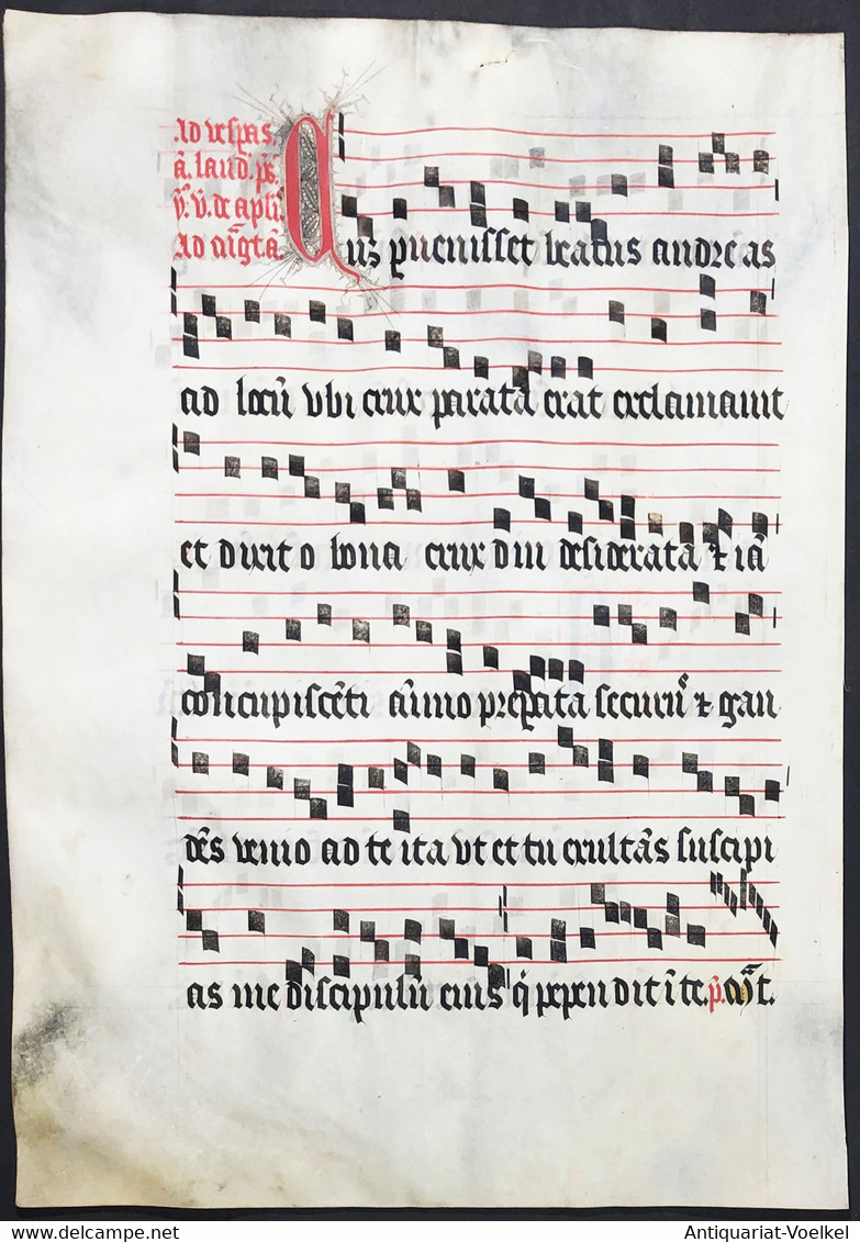 Very Rare Large Elephant Folio Vellum Sheet. Out Of An Antiphonary Manuscript From The 15th Century. / Seltene - Theater & Scripts