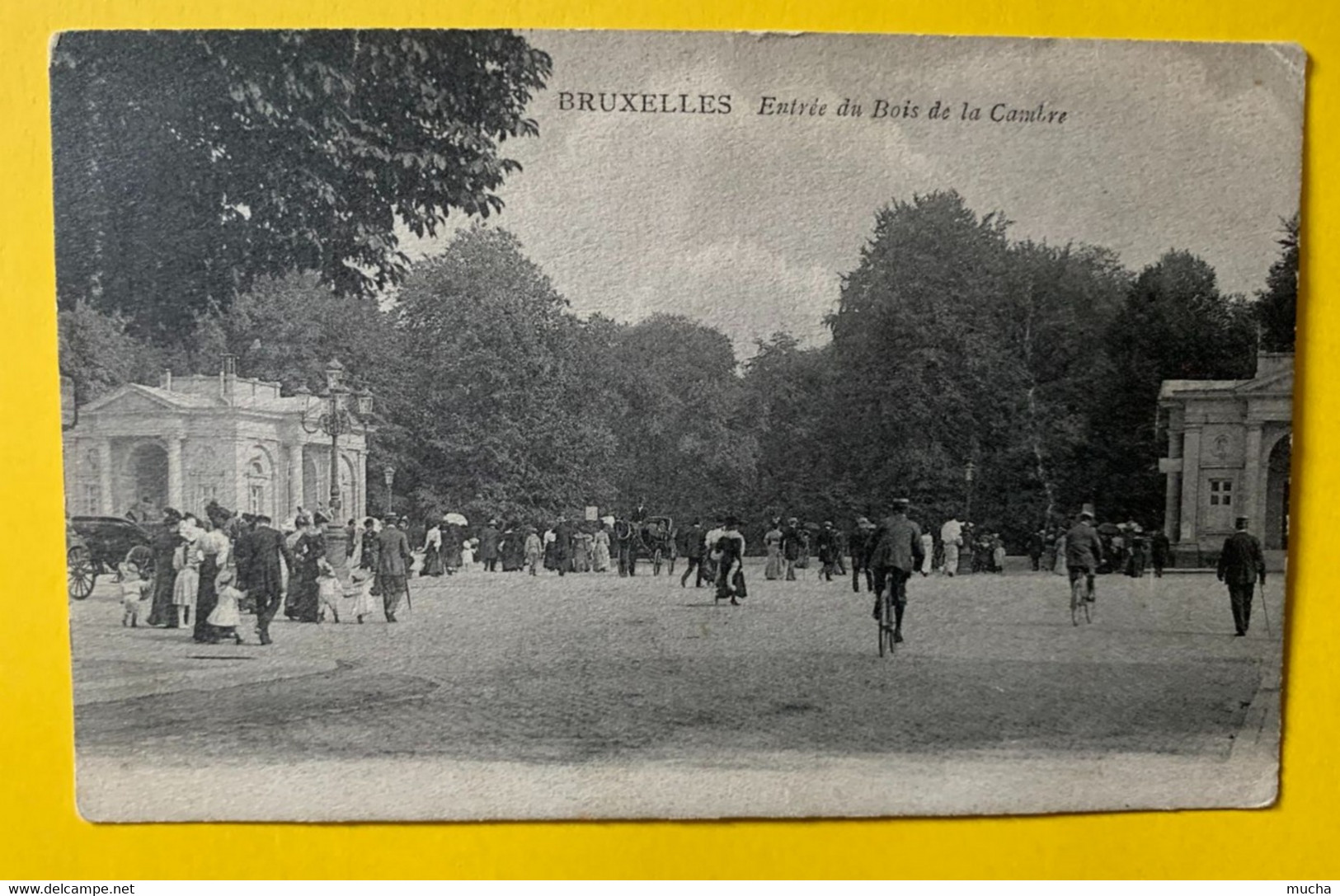 17896 -  Bruxelles Entrée Du Bois De La Cambre - Forêts, Parcs, Jardins