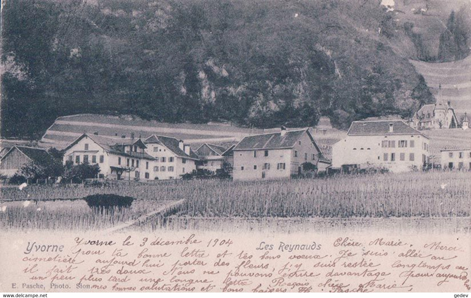 Yvorne VD, Les Reynauds Et Vignes (3.12.1904) Taches Blanches D'usure - Yvorne