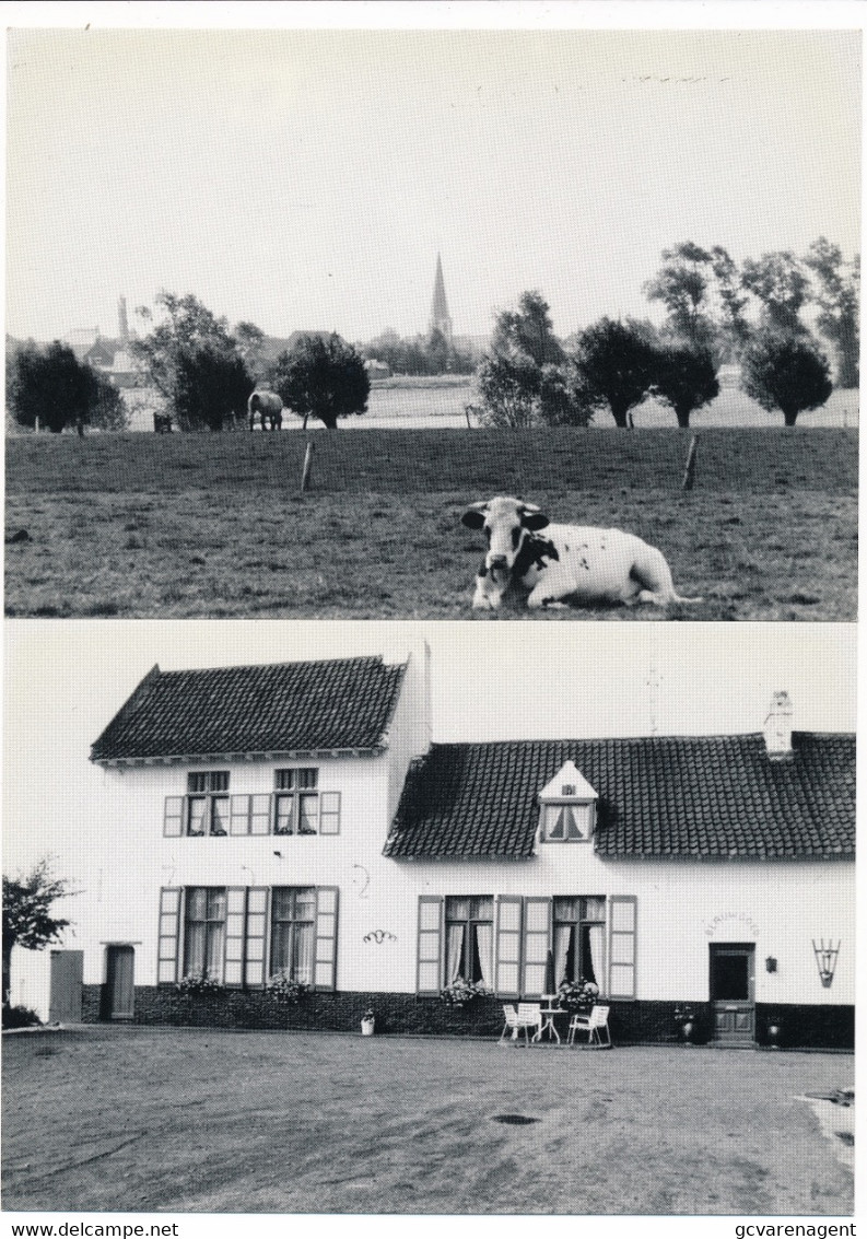 KNESSELARE LOT VAN  8 KAARTEN      ZIE AFBEELDINGEN - Knesselare