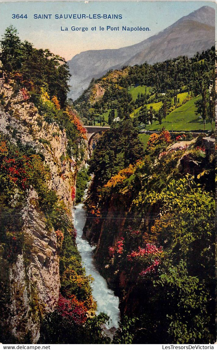 CPA - 70 - Saint Sauveur Les Bains - La Gorge Et Le Pont Napoléon - Colorisée - Luz Saint Sauveur