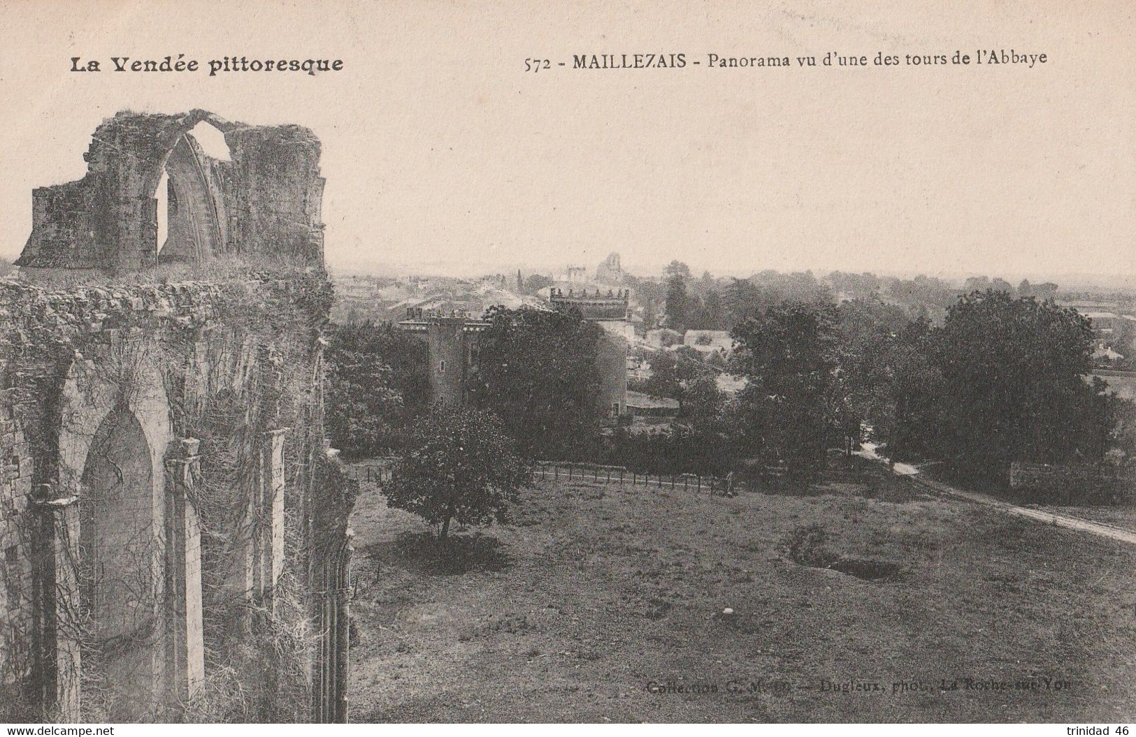 MAILLEZAIS 85 ( PANORAMA VUE D'UNE TOUR DE L'ABBAYE ) - Maillezais