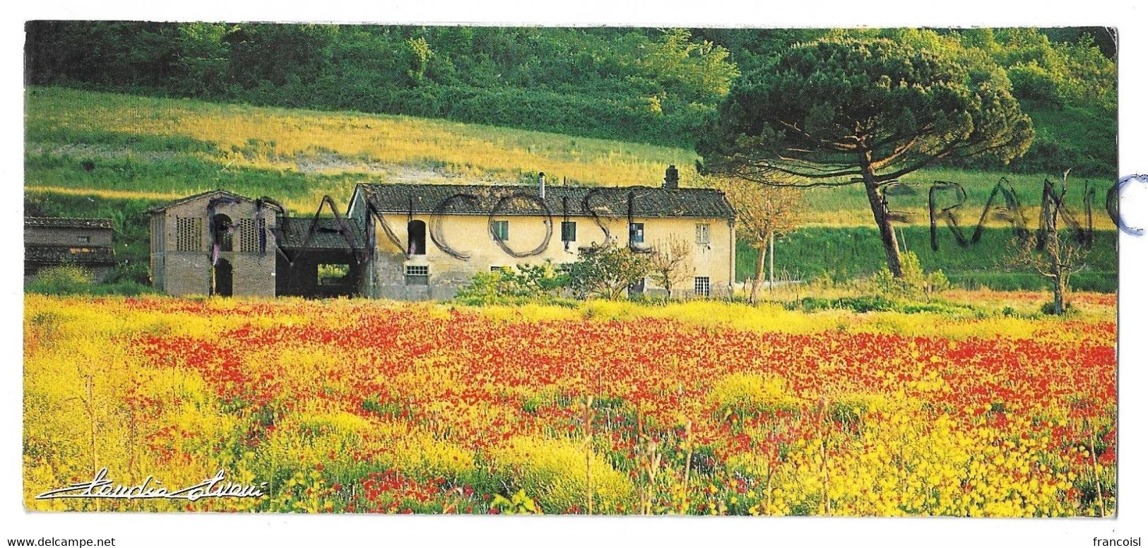 Val D'Egola. Toscana. Photo De Claudio Calvani - Pisa