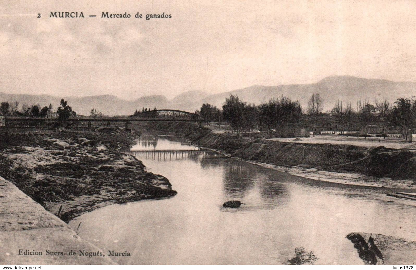 MURCIA / MERCADO DE GANADOS - Murcia