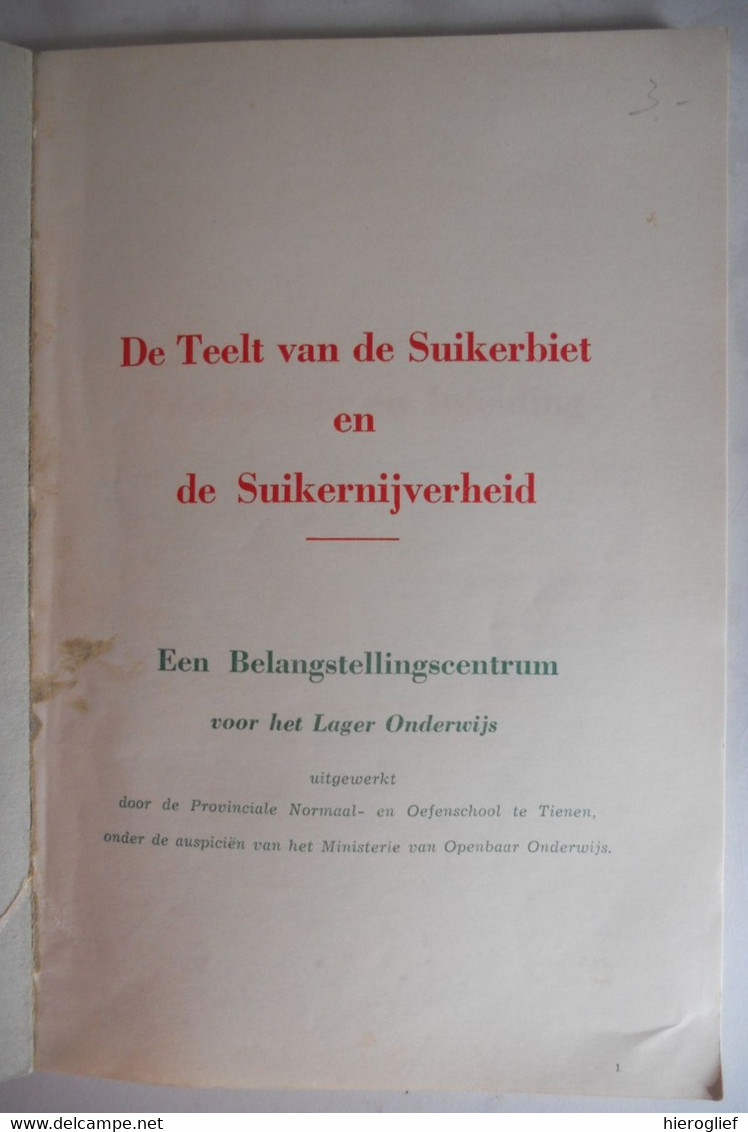 DE TEELT Van De SUIKERBIET En De SUIKERNIJVERHEID / Landbouw Suikerbieten Bieten Suiker Oefenschool Tienen Raffinaderij - Practical