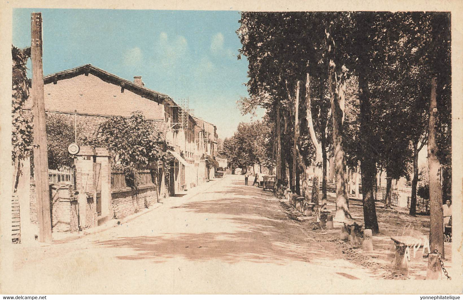 82 - TARN ET GARONNE - MOLIÈRES - Les Promenades - Colorisée A.P.A -10040 - Molieres