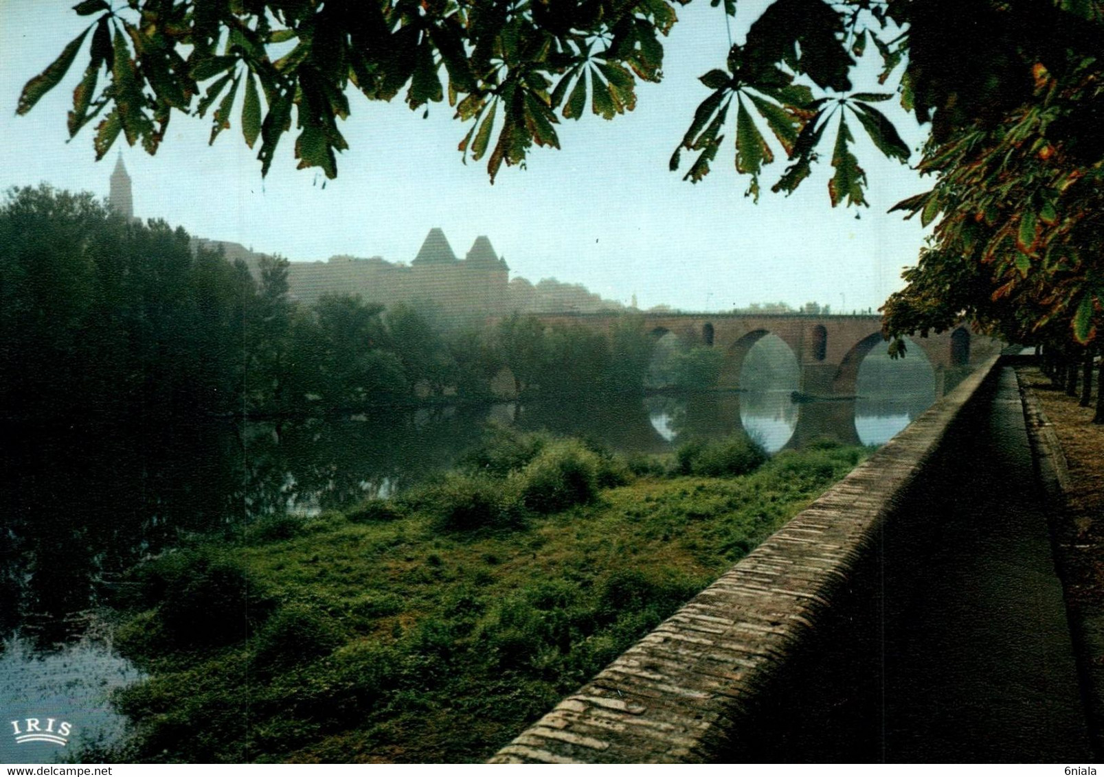 MONTAUBAN  Les Bords Du Tarn, Le Pont Vieux XIVe Et Le Musée Ingres   ( Recto-verso) 82 Tarn Et Garonne - Montauban