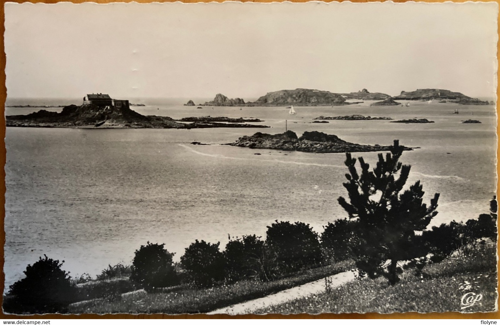 Dinard - Vue Vers Le Fort De Harbour Et L’Ile De Cézembre - Caussade