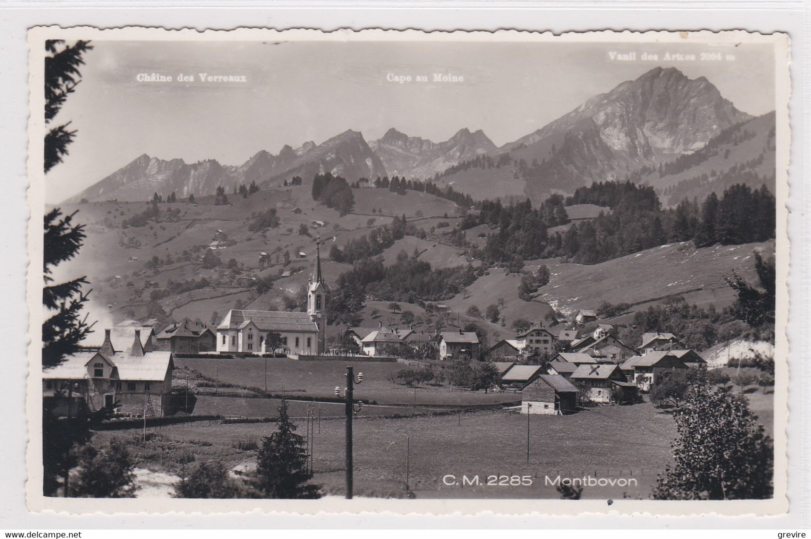 Montbovon - Vue Générale. Fabrique De Carbure. Carte Photo, Bord Déchiqueté - Montbovon