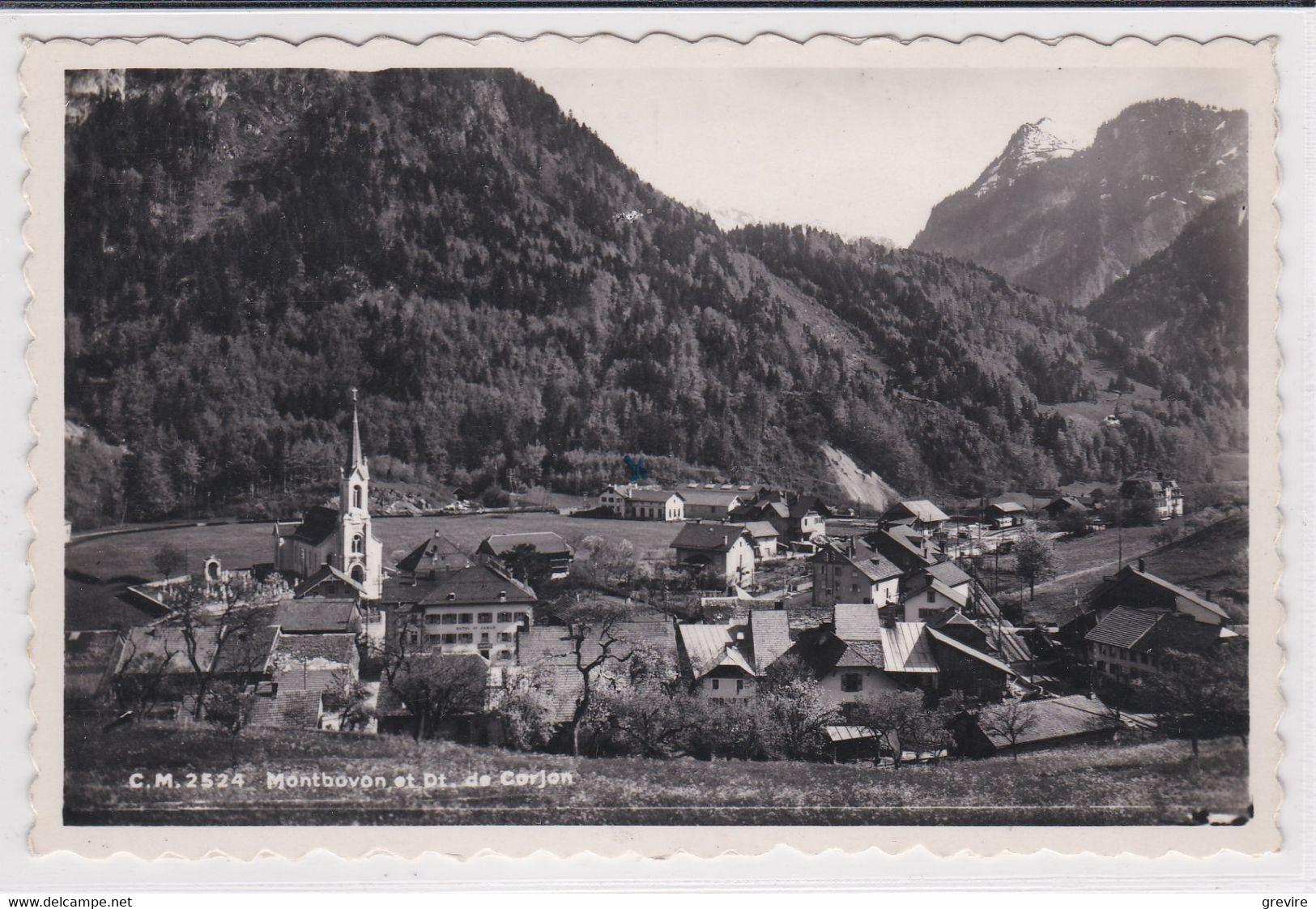 Montbovon Et La Dent De Corjon. Carte Photo - Montbovon