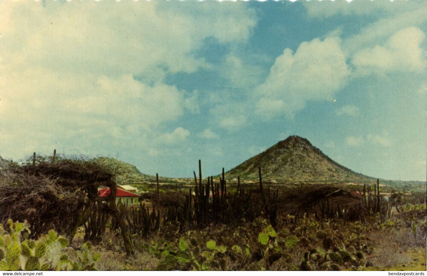 Aruba, N.A., Landscape View With Hooiberg In Rear Aruba, Postcard - Aruba