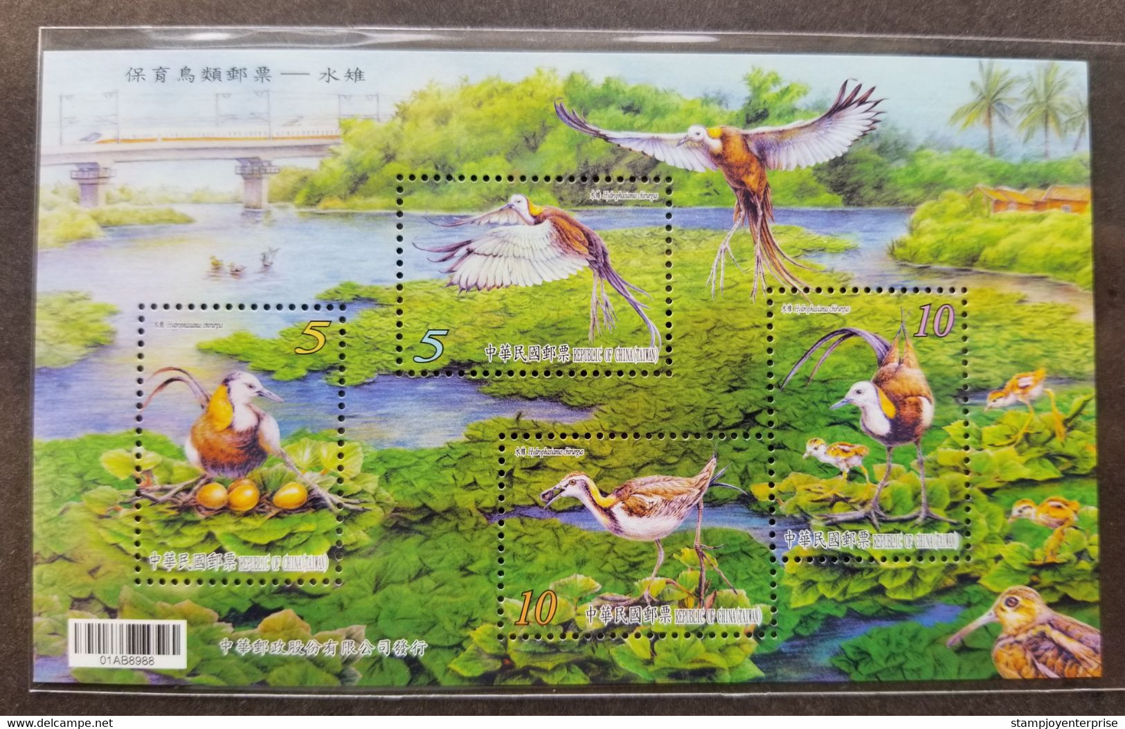 Taiwan Conservation Of Birds Pheasant Tailed 2017 Egg Train Bird Fauna (ms) MNH - Unused Stamps