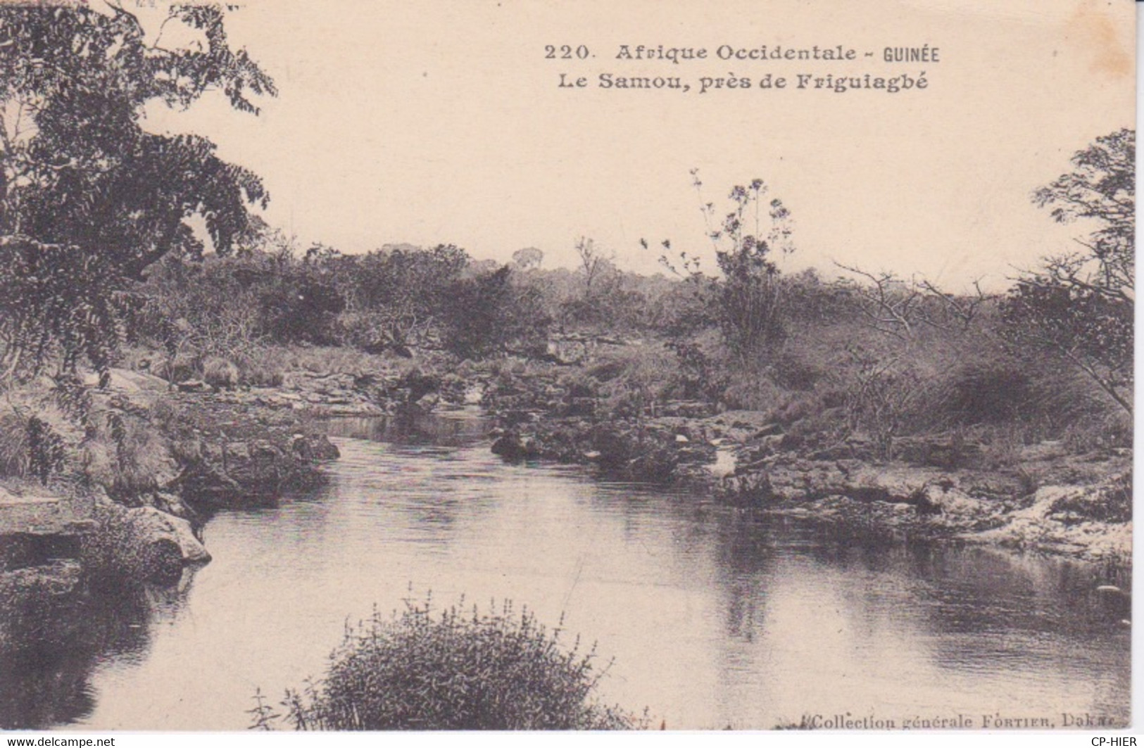 GUINEE - AFRIQUE OCCIDENTALE - LE SAMOU PRES DE FRIGUIAGBE - Guinée