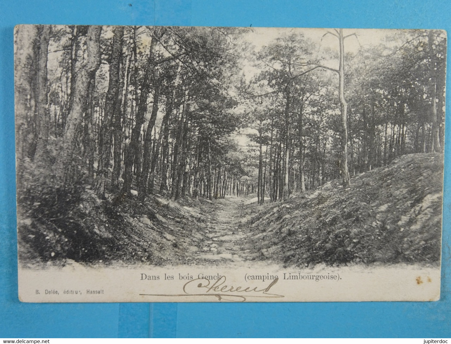 Dans Les Bois De Genck  (campine Limbourgeoise) - Genk