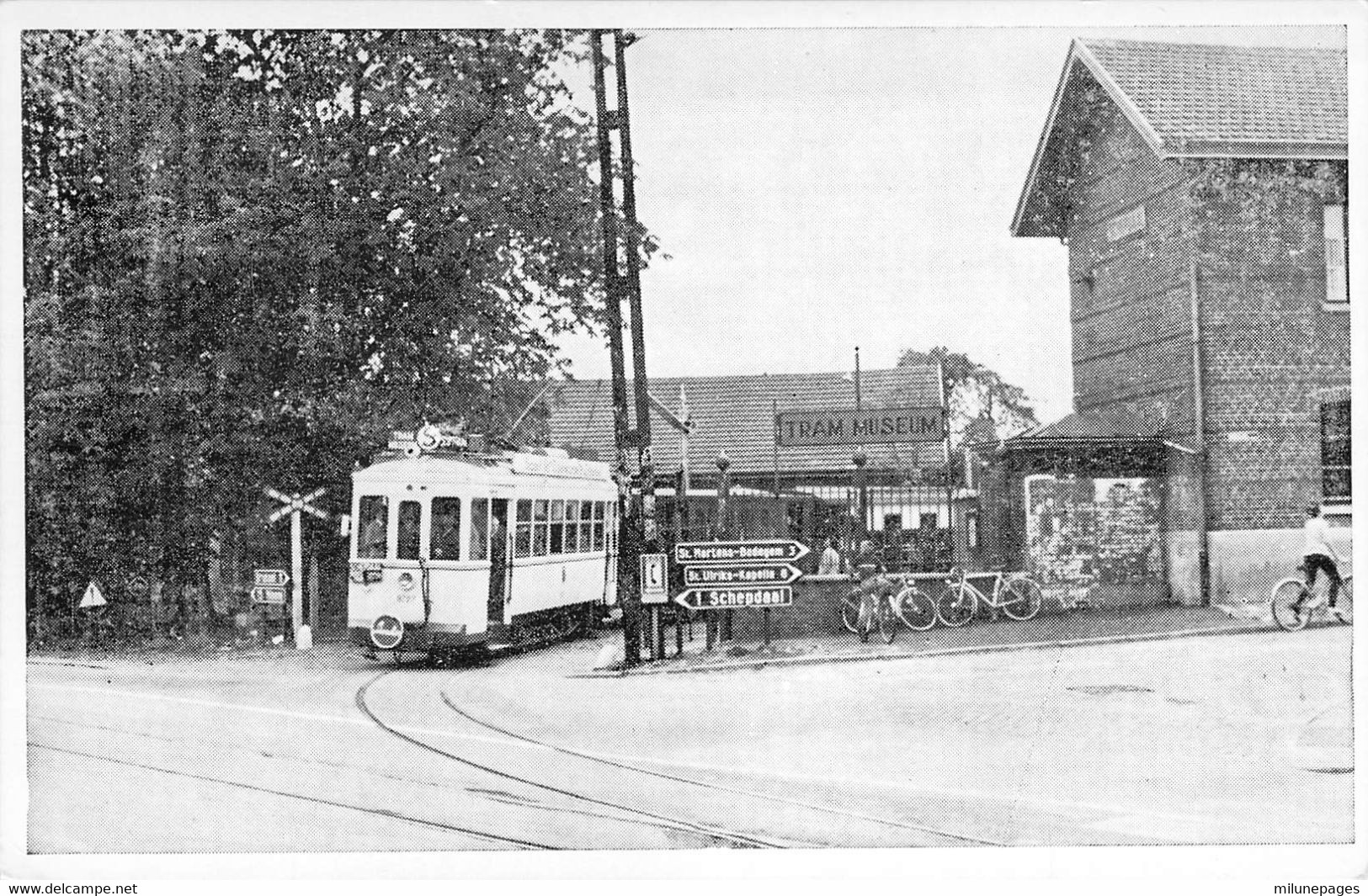 Belgique Belgie Photo Carte Du Tram Au Musée Museum à Schepdaal Dilbeek - Dilbeek