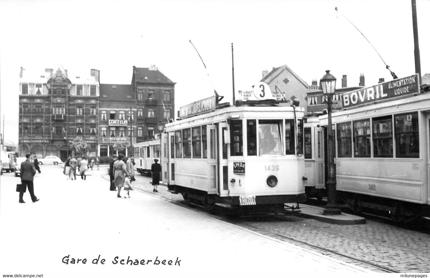 Belgique Belgie Photo Carte Du Tram Ligne 3 Gare De Schaerbeek à Bruxelles En 1952 Cliché Bazin - Public Transport (surface)