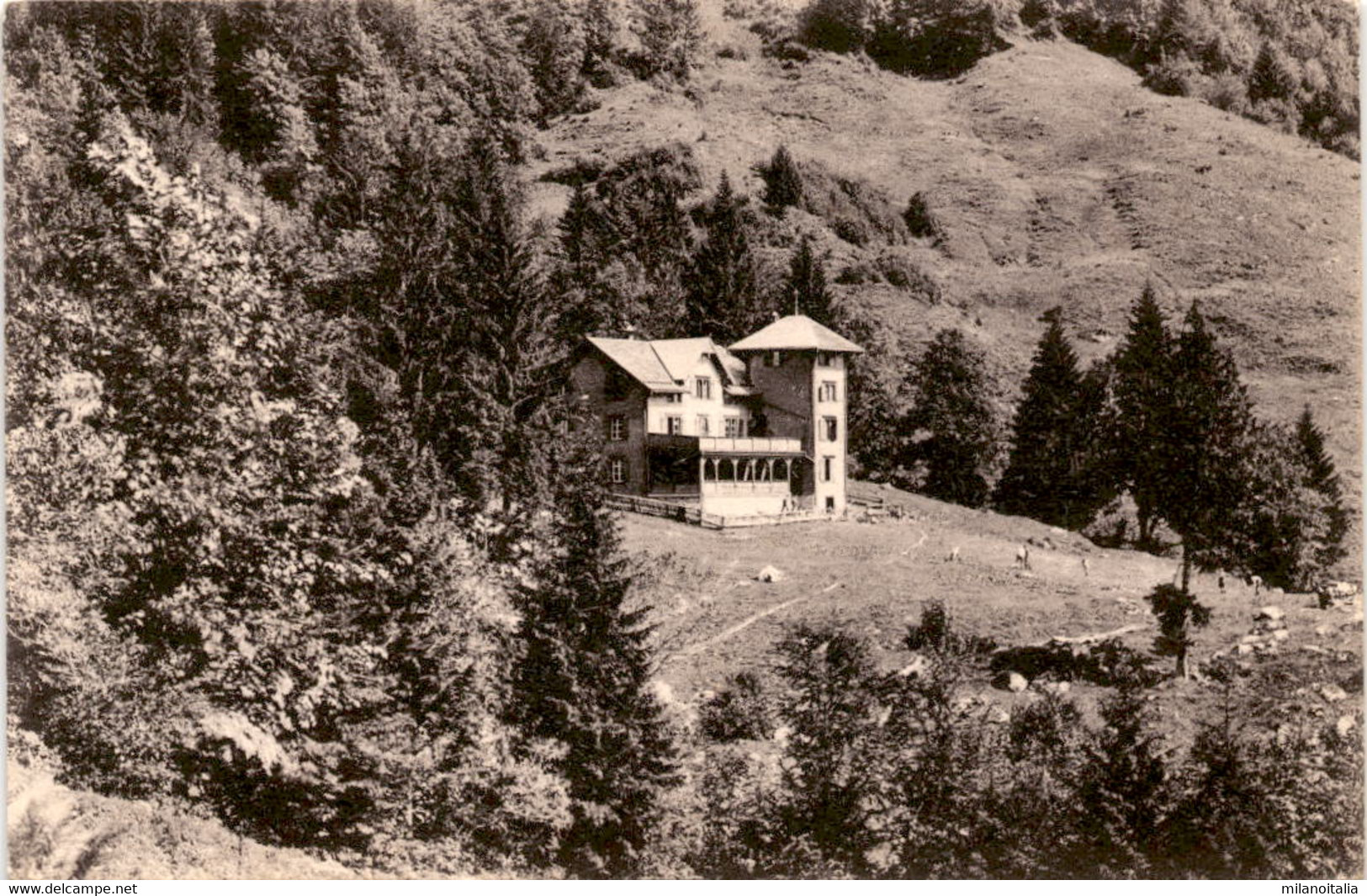 Basler Ferienheim Auf Der Alp Morgenholz Ob Niederurnen (10) - Niederurnen