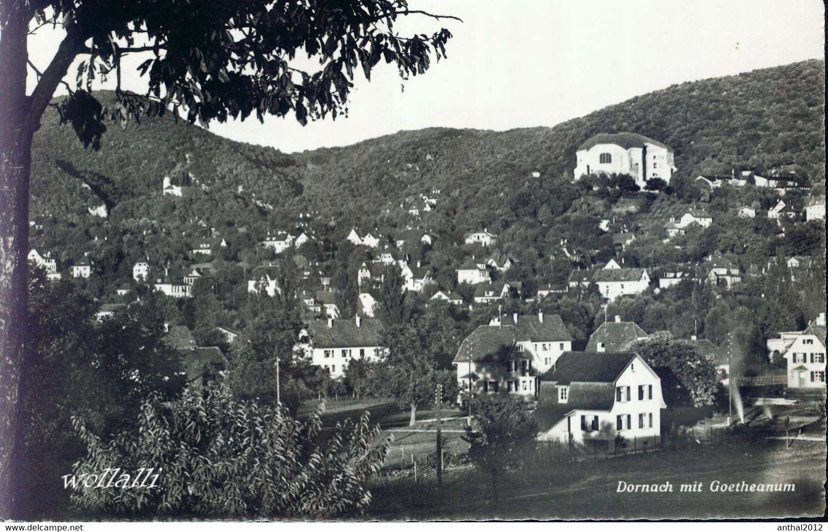 Rar Dornach Solothurn Wohnhäuser Mit Blick Auf Goetheanum 25.08.1956 Wehrli - Dornach