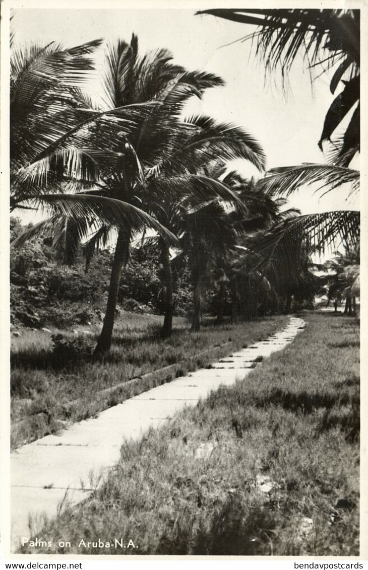 Aruba, N.A., SAN NICHOLAS, Palm Trees (1952) RPPC Postcard, Ship Cancel - Aruba