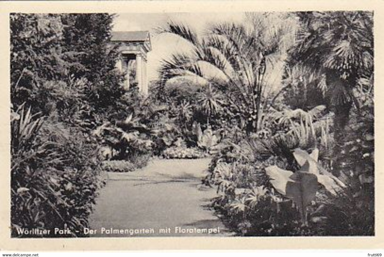 AK 070260 GERMANY - Wörlitzer Park - Der Palmengarten Mit Floratempel - Wörlitz