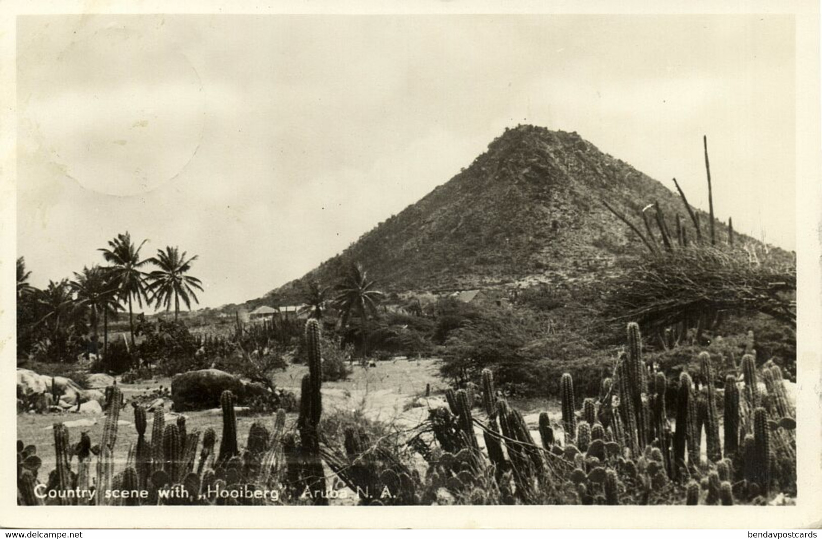 Aruba, N.A., Country Scene With Hooiberg Mountain (1950s) RPPC Postcard - Aruba