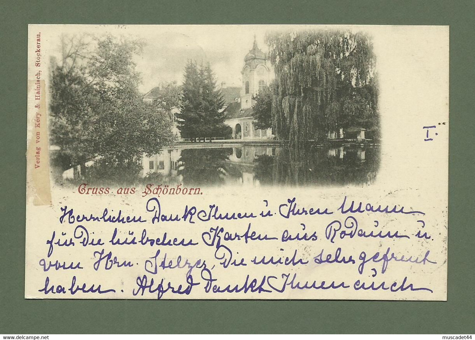 CARTE  POSTALE AUTRICHE GRUSS AUS SCHONBORN - Otros & Sin Clasificación