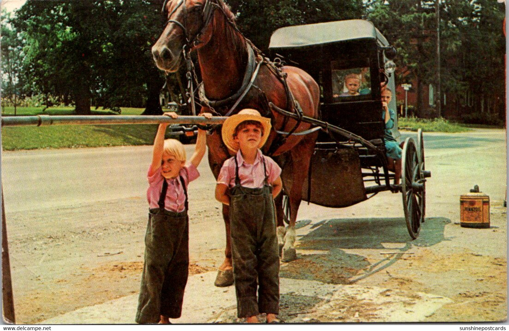 Pennsylvania Amish Country Greetings Amish Children Waiting For Their Father - Lancaster