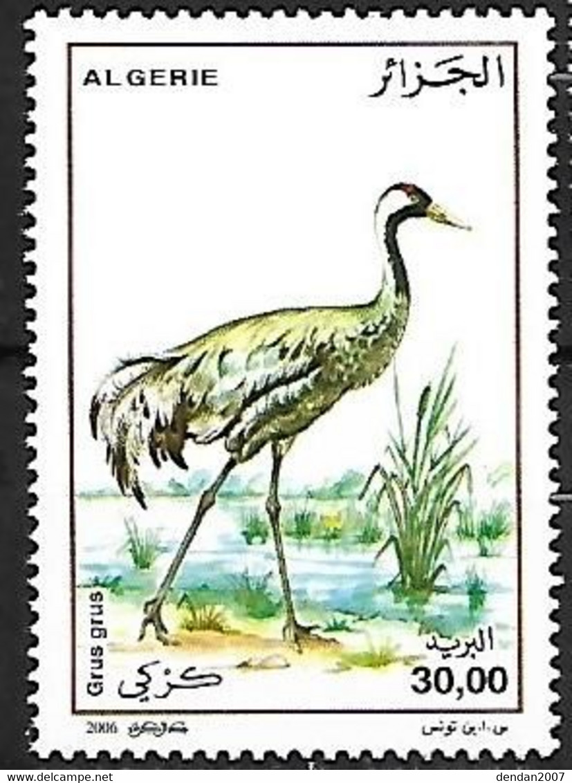 Algeria - MNH ** 2006 :  Common Crane -   Grus Grus - Kranichvögel