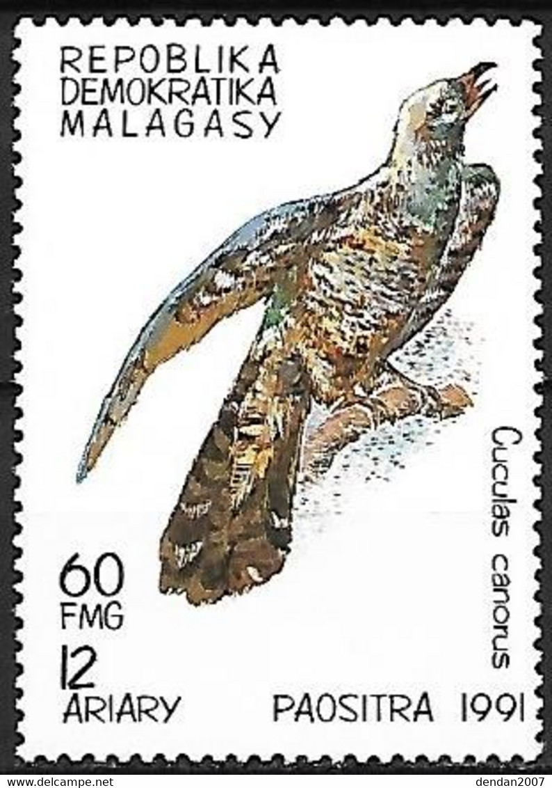 Malagasy (Madagascar) : MNH ** 1991 -  Common Cuckoo   - Cuculus Canorus - Cuco, Cuclillos